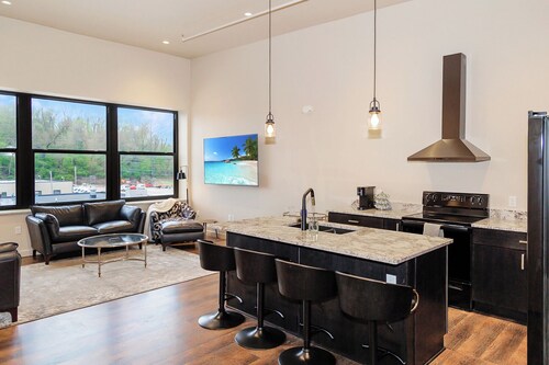 Spacious New & Clean 2 BR Heart of Downtown! 301S