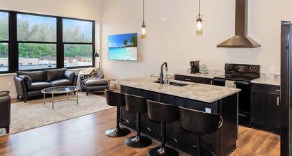 Spacious New & Clean 2 BR Heart of Downtown! 301S