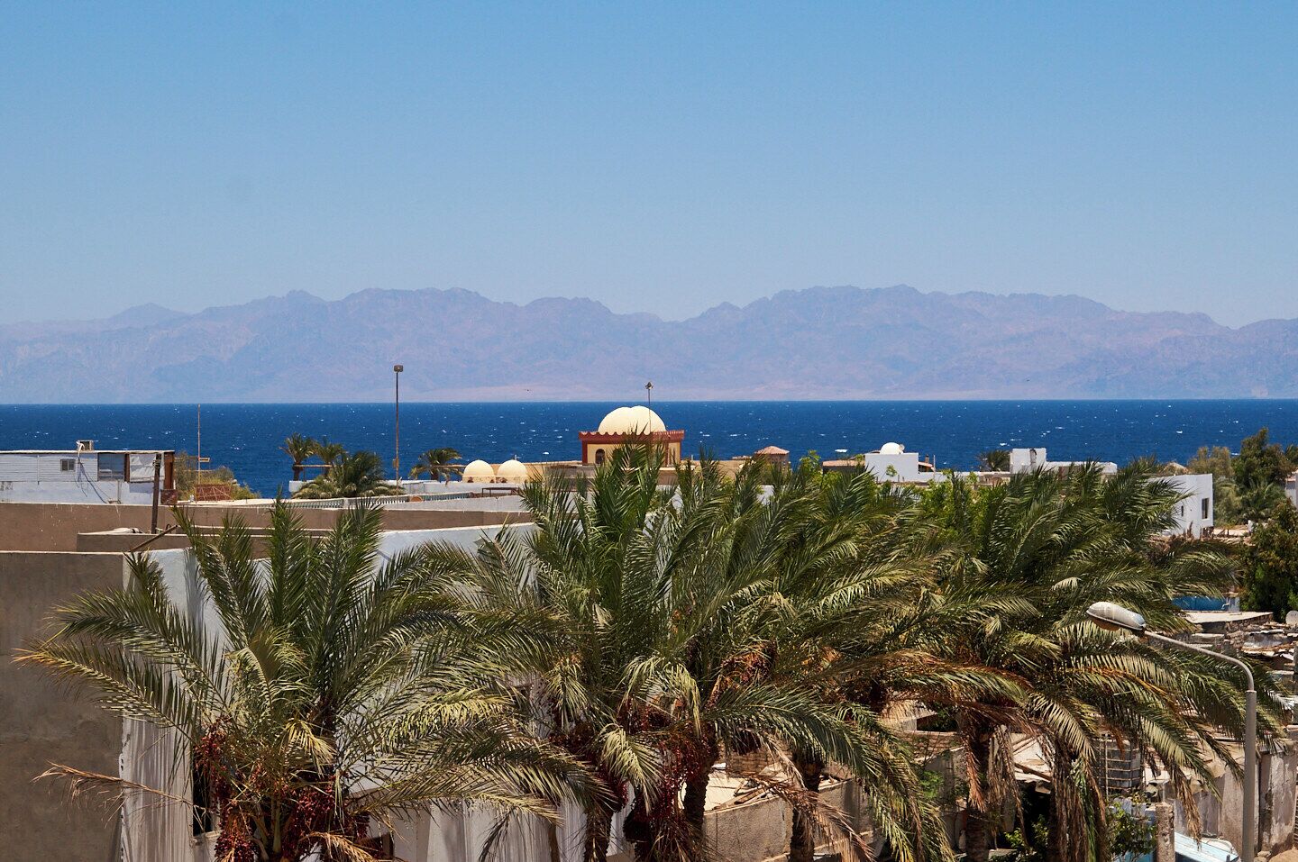 A coastal view with palm trees, a mosque with a dome, and mountains in the background.