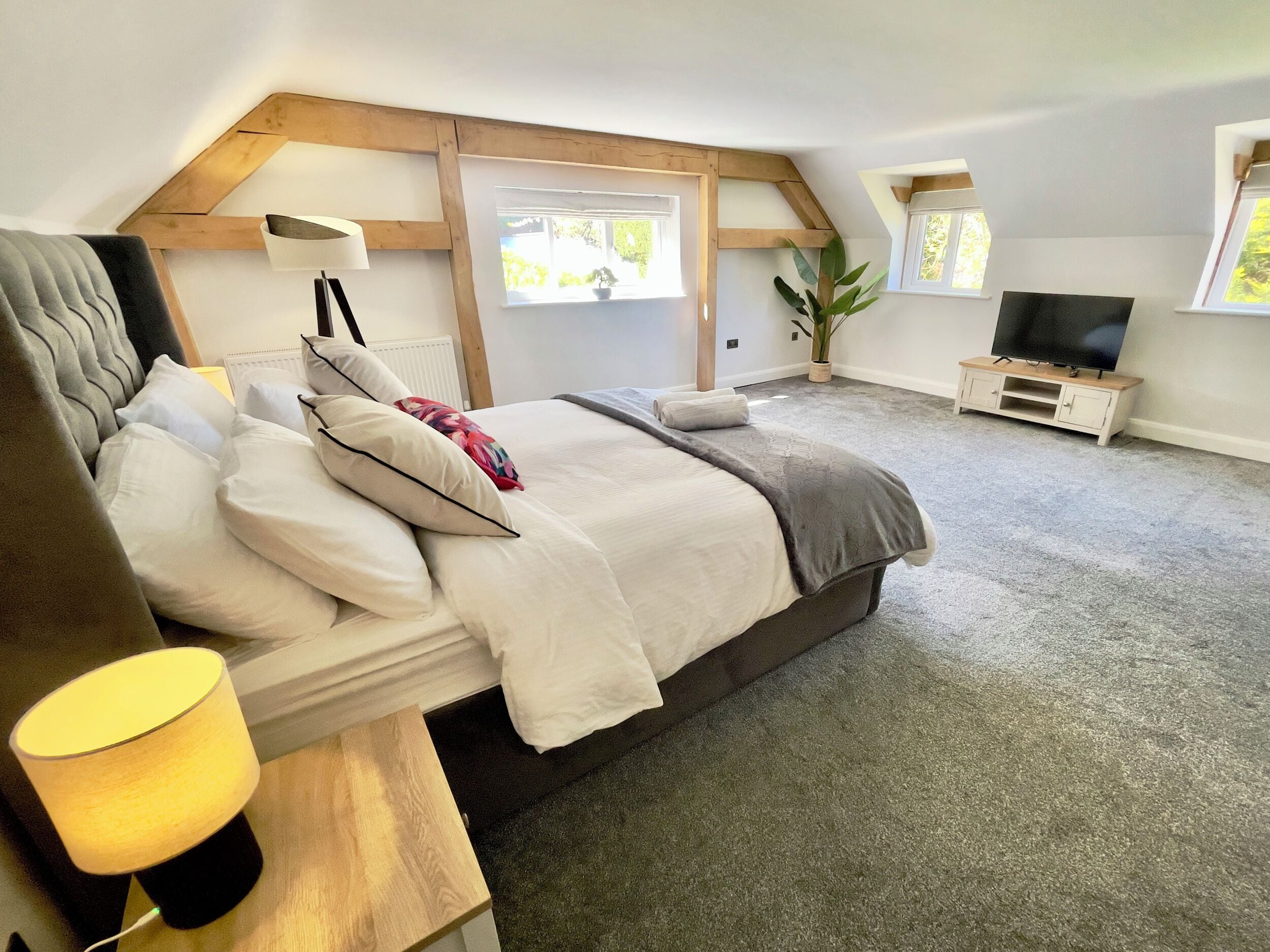 A bedroom with a bed, bedside lamp, TV, windows, and a plant.