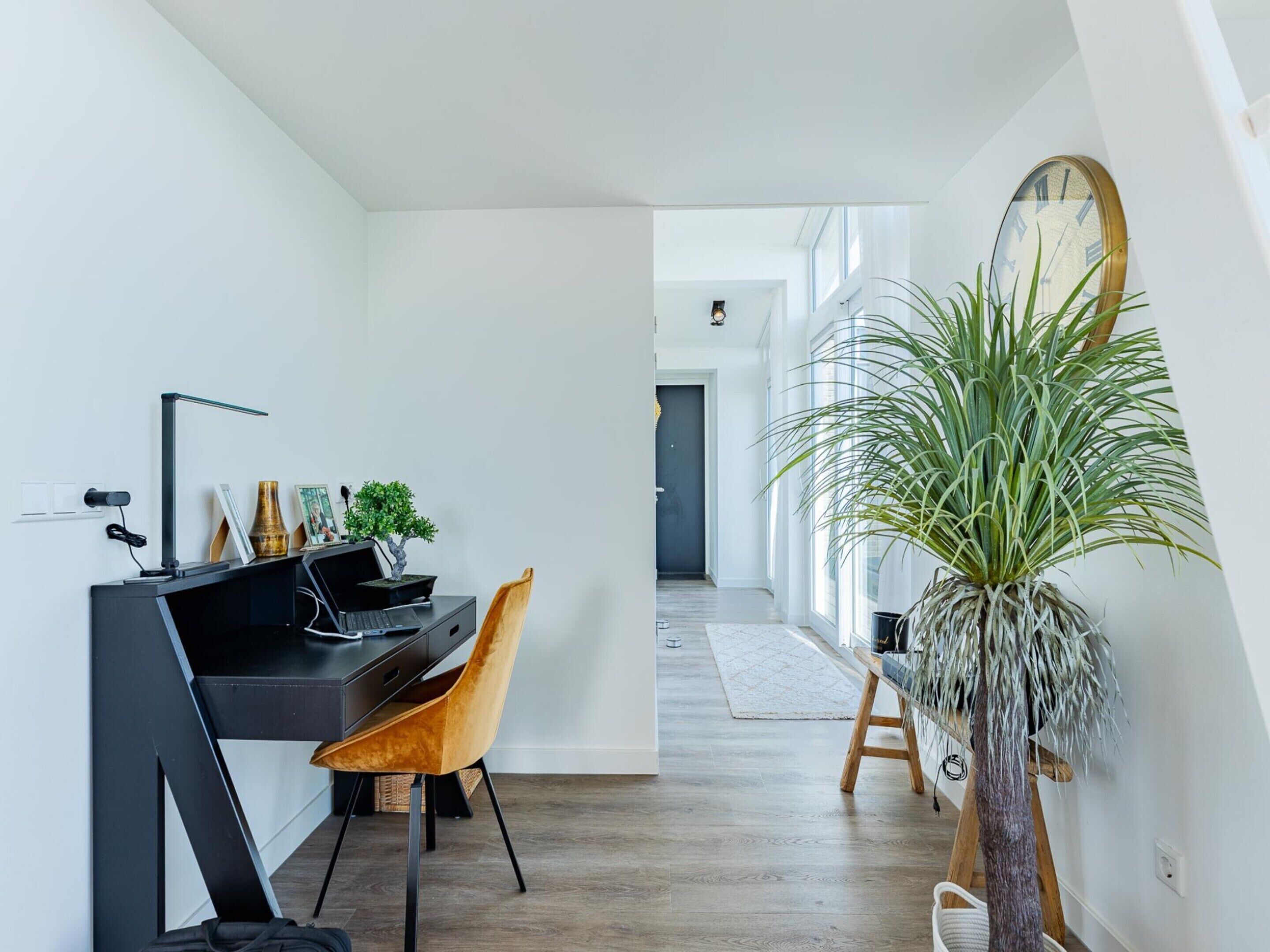 A modern room with a desk, chair, and a large potted plant.