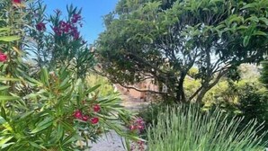 A garden with various plants and a stone pathway. - La belle histoire du gîte Ventoux (Bédoin)