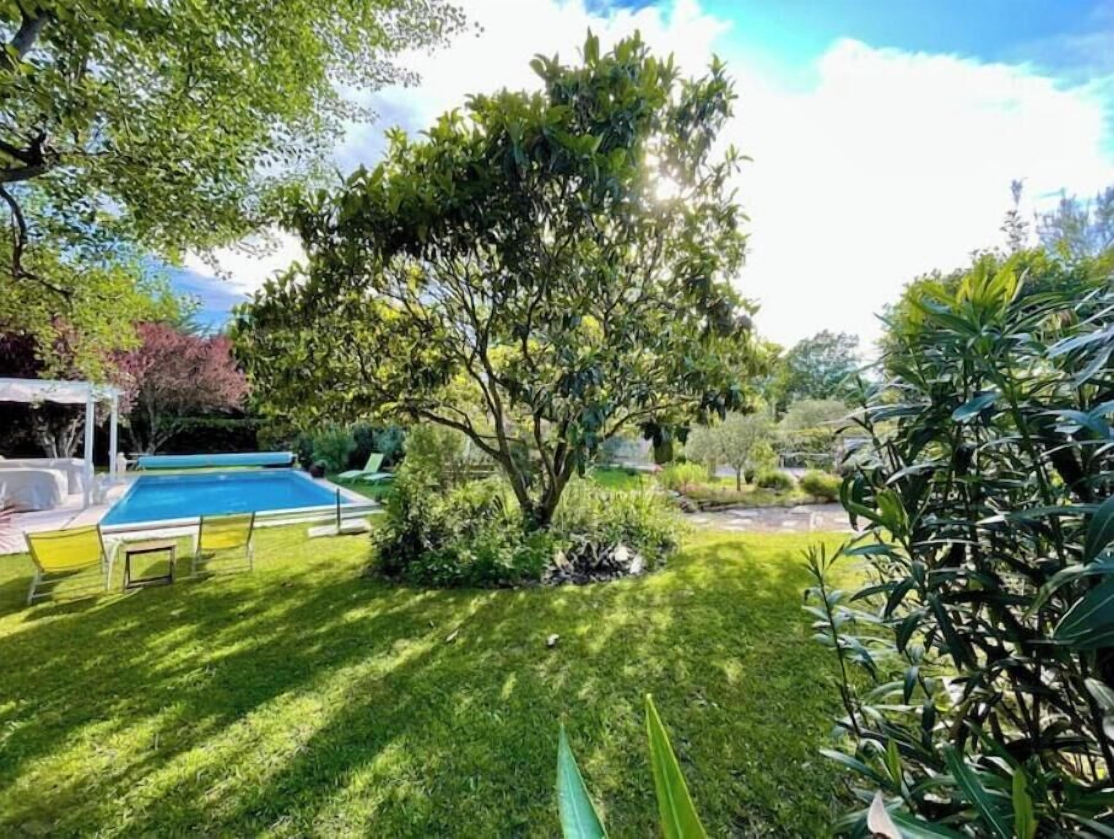 Un pati amb piscina, una pèrgola i un gran arbre.
