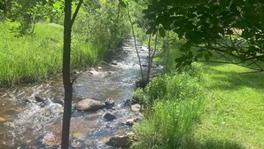 Un ruscello limpido con rocce, circondato da erba verde e rigogliosa e alberi.