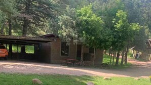 Un'area verde con prato, un edificio in cemento, un fabbricato in legno e alberi.