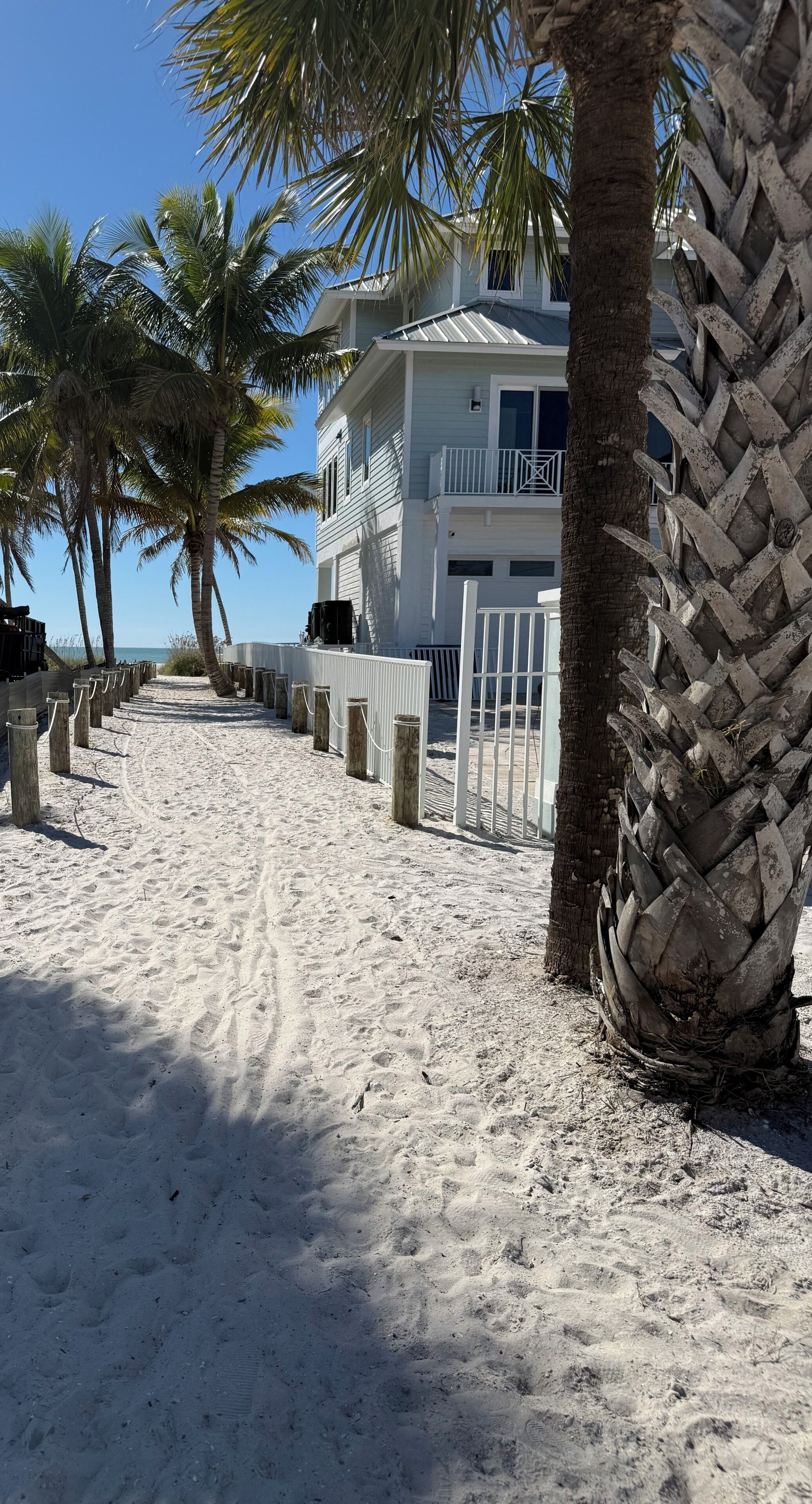 A beach pathway lined with palm trees leading to a white building with balconies.