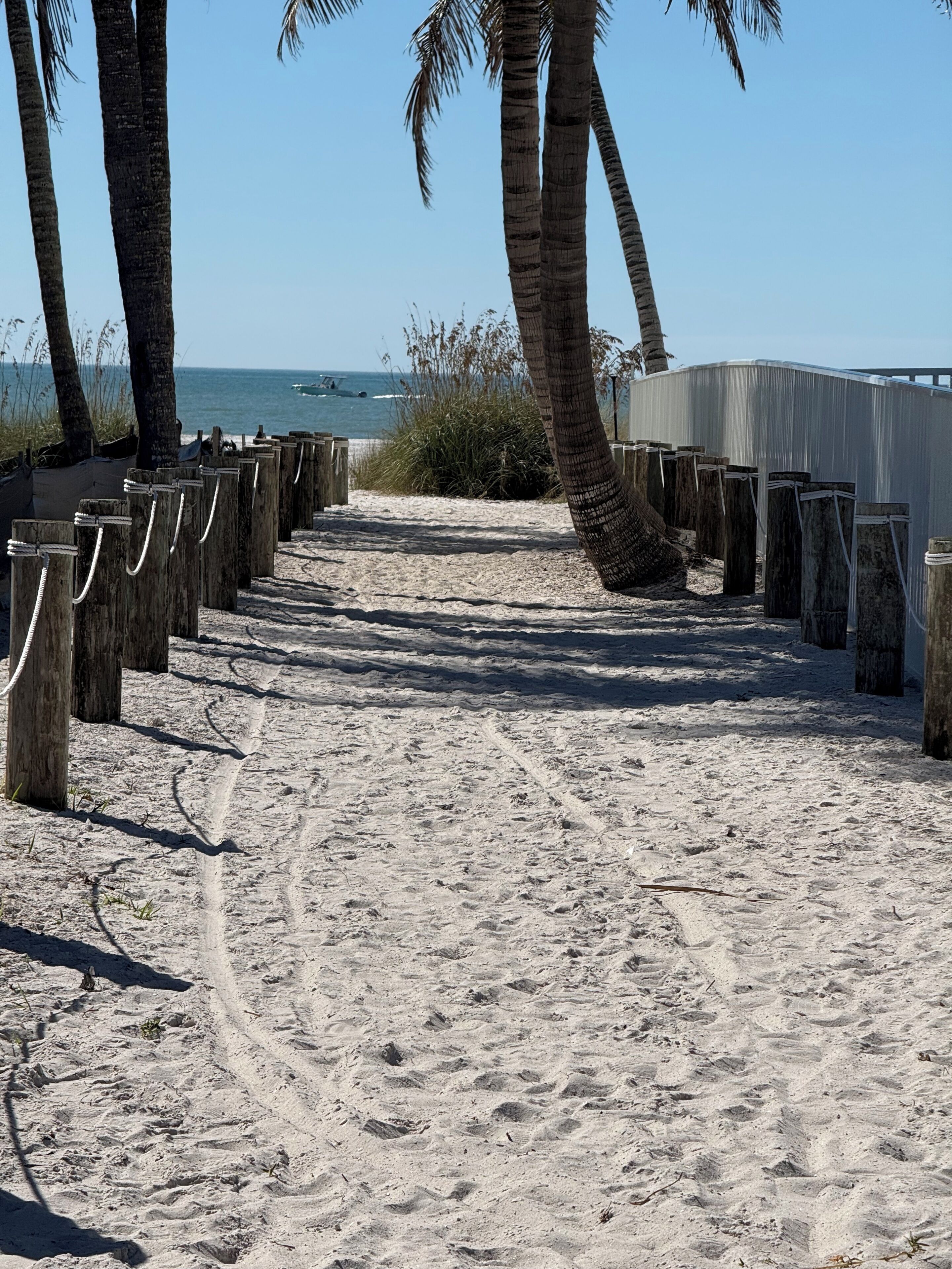 A sandy beach path with wooden posts and a palm tree.