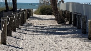A sandy beach path with wooden posts and a palm tree. - Ft. Myers Beach across street to Beach Golf Cart (Fort Meyers Beach)