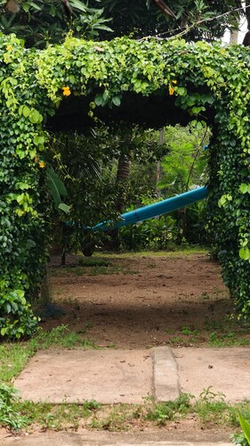 Kadingis homestay and eco tourism