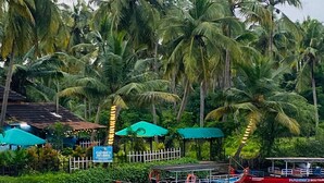 A calm river with boats, palm trees, and a white fence. - Kadingis homestay and eco tourism (Kadalundi)