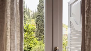 A door with a view of a garden, a white exterior wall, and a window with blinds. - Large Villa with Pool and Private Tennis Court near Ormos Korthiou (Ormos Korthiou)