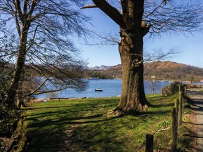 A large tree in a park with a lake and boats in the background. - Wilders Wood (Windermere)