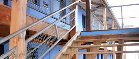 Khuôn viên nơi lưu trú