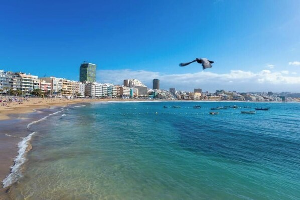A coastal cityscape with buildings, a beach, and boats.