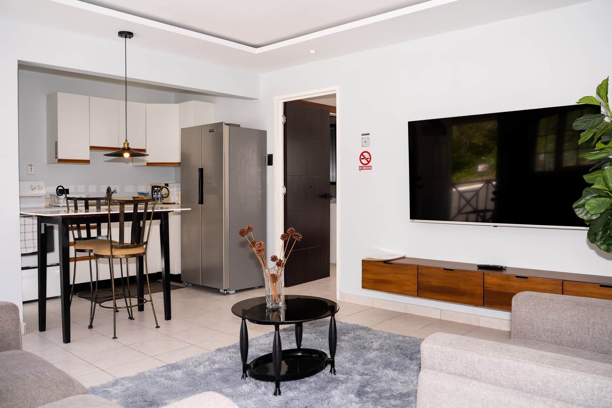 TV