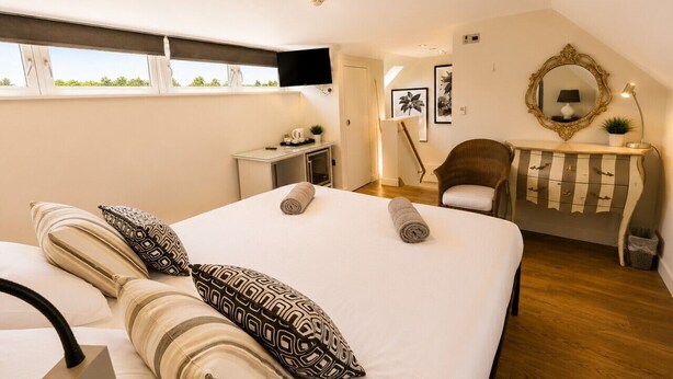 A bedroom with a large bed, a television, a desk, a chair, and a mirror.
