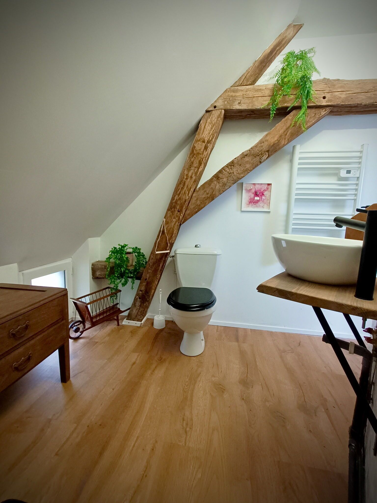 Shower, hair dryer, toilet paper