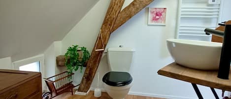 Shower, hair dryer, toilet paper