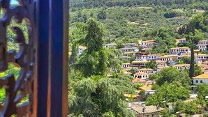 A view of a hillside village with traditional buildings, dense greenery, and a clear sky. - Sirincem Plus (Selcuk)