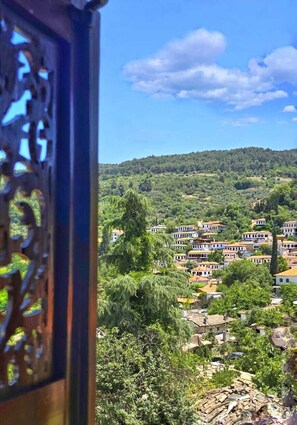 A view of a hillside village with traditional buildings, dense greenery, and a clear sky.