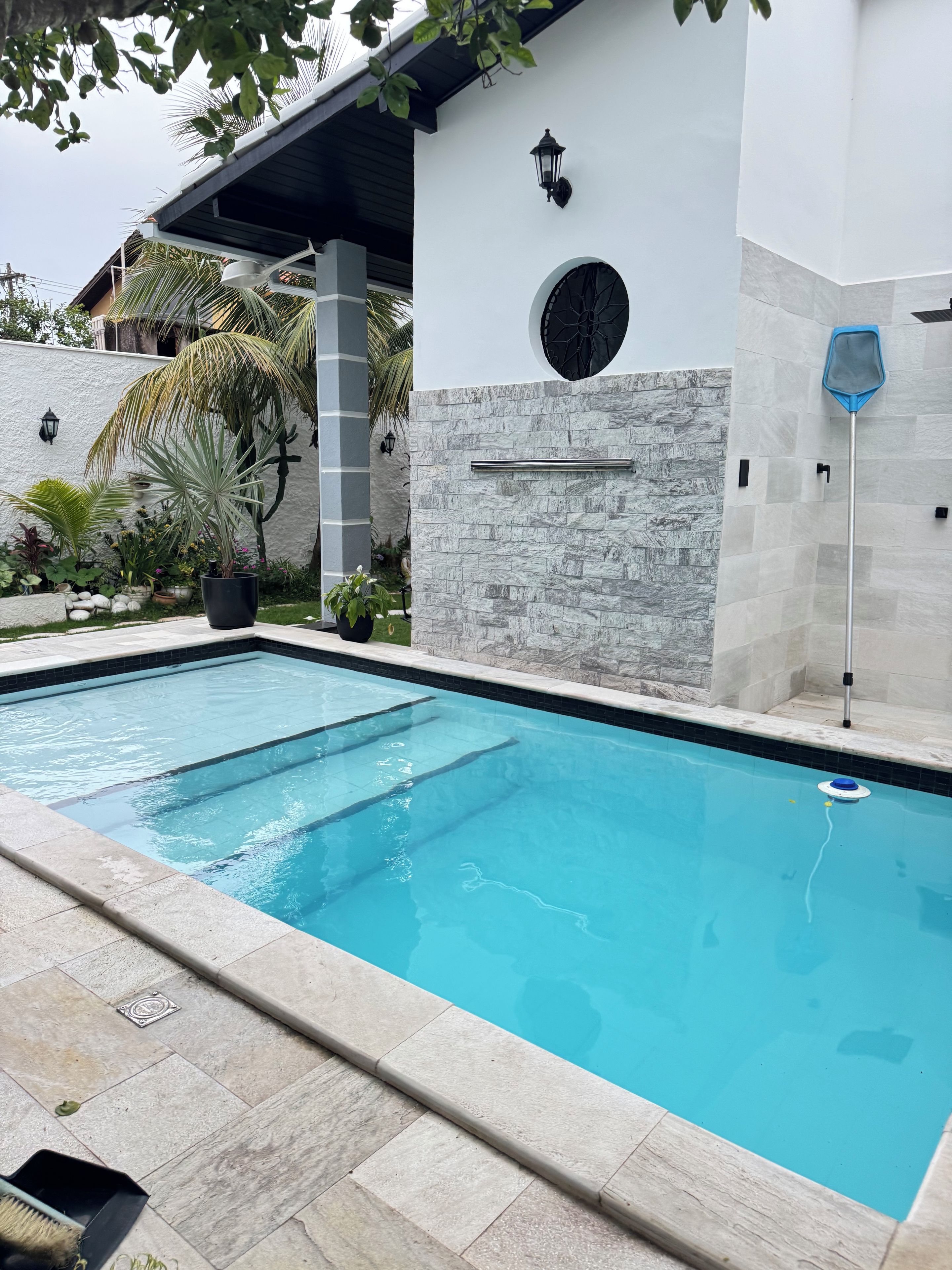 A swimming pool with a stone wall and a palm tree.