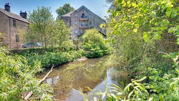 A narrow waterway with lush greenery and a building with multiple floors and balconies.