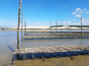 In Strandnähe