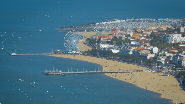 Un paisaje urbano costero con una noria destacada, una playa y un muelle.