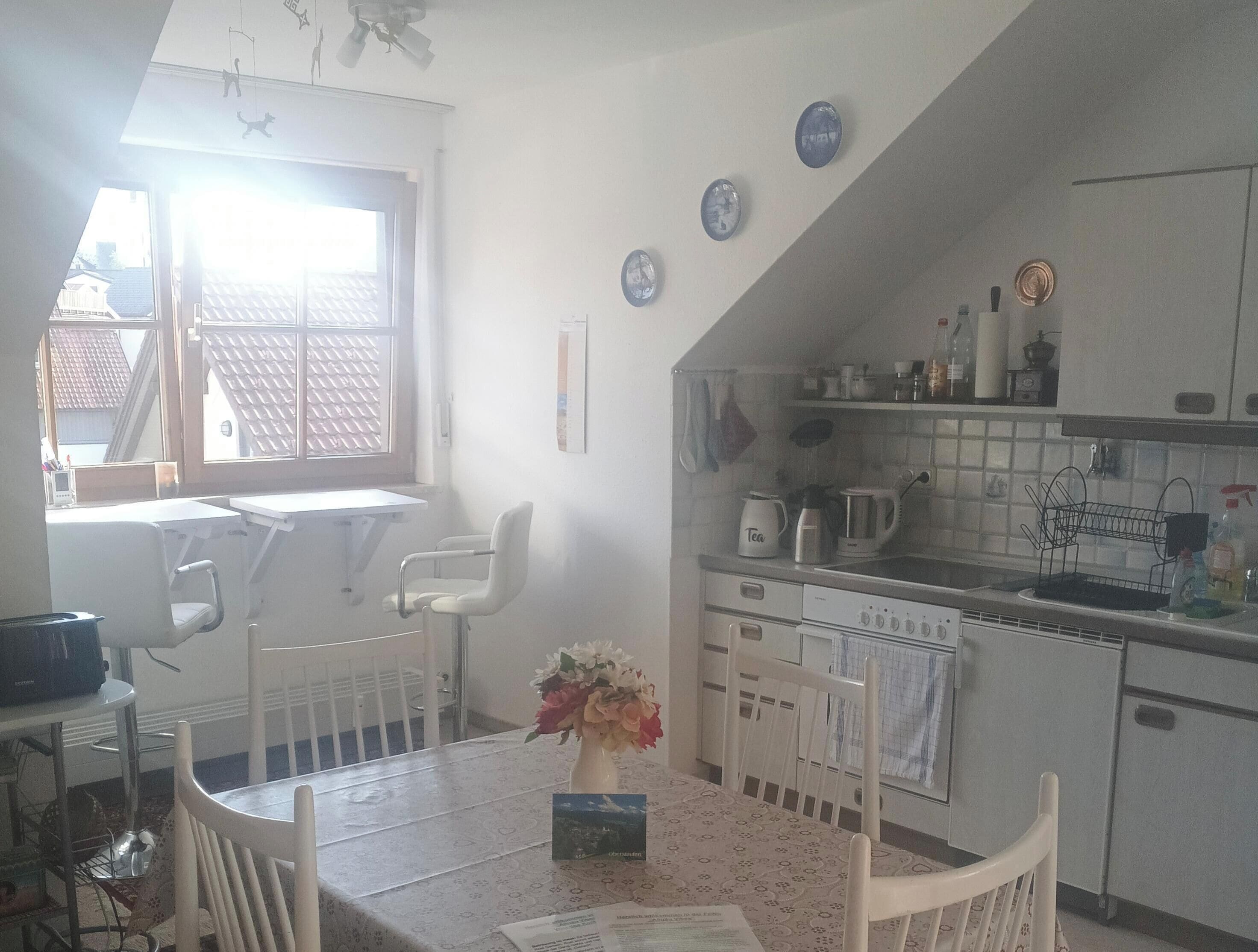 Fridge, oven, stovetop, coffee/tea maker