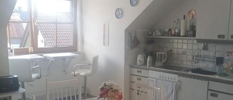 Fridge, oven, stovetop, coffee/tea maker
