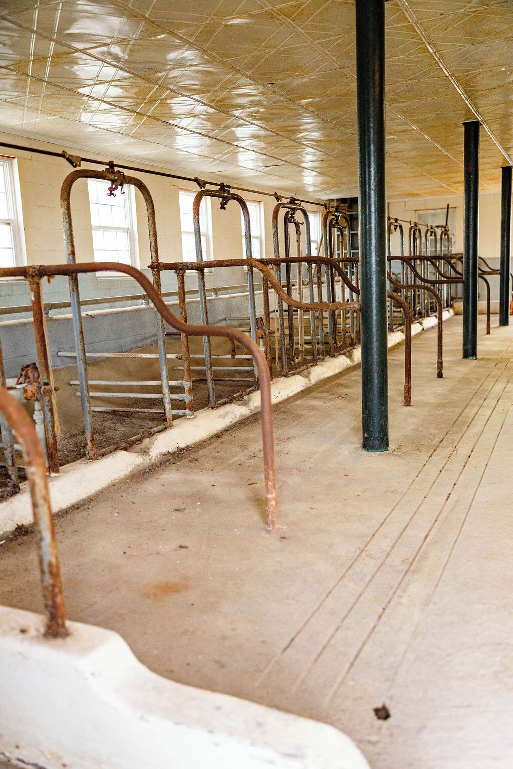 A row of metal railings with a concrete floor and a ceiling with a grid pattern.