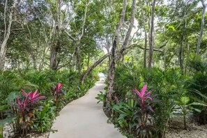 Property grounds - Vibra Tulum / Luxury Loft, Rooftop and Pool (Q.R.)