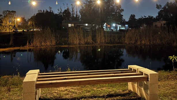 Eine Bank am ruhigen Teich bei Nacht, darüber hängen Lichterketten.