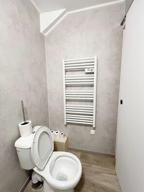 Shower - Studio 1, 13m2, first floor (Eaux-Bonnes)