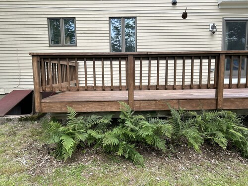 Peaceful 4-bedroom house in charming Castine perfect for relaxing stays