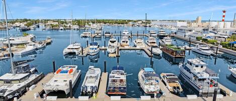 Marina