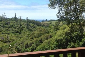 Property grounds - Jacaranda Park Holiday Cottages (Norfolk Island)