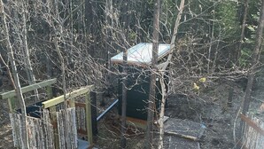 A wooden staircase leading to a deck surrounded by trees, with a metal fence and a green structure in the background. - Glamping tower north of Columbia Falls views of Whitefish mountain and privacy. (Columbia Falls)