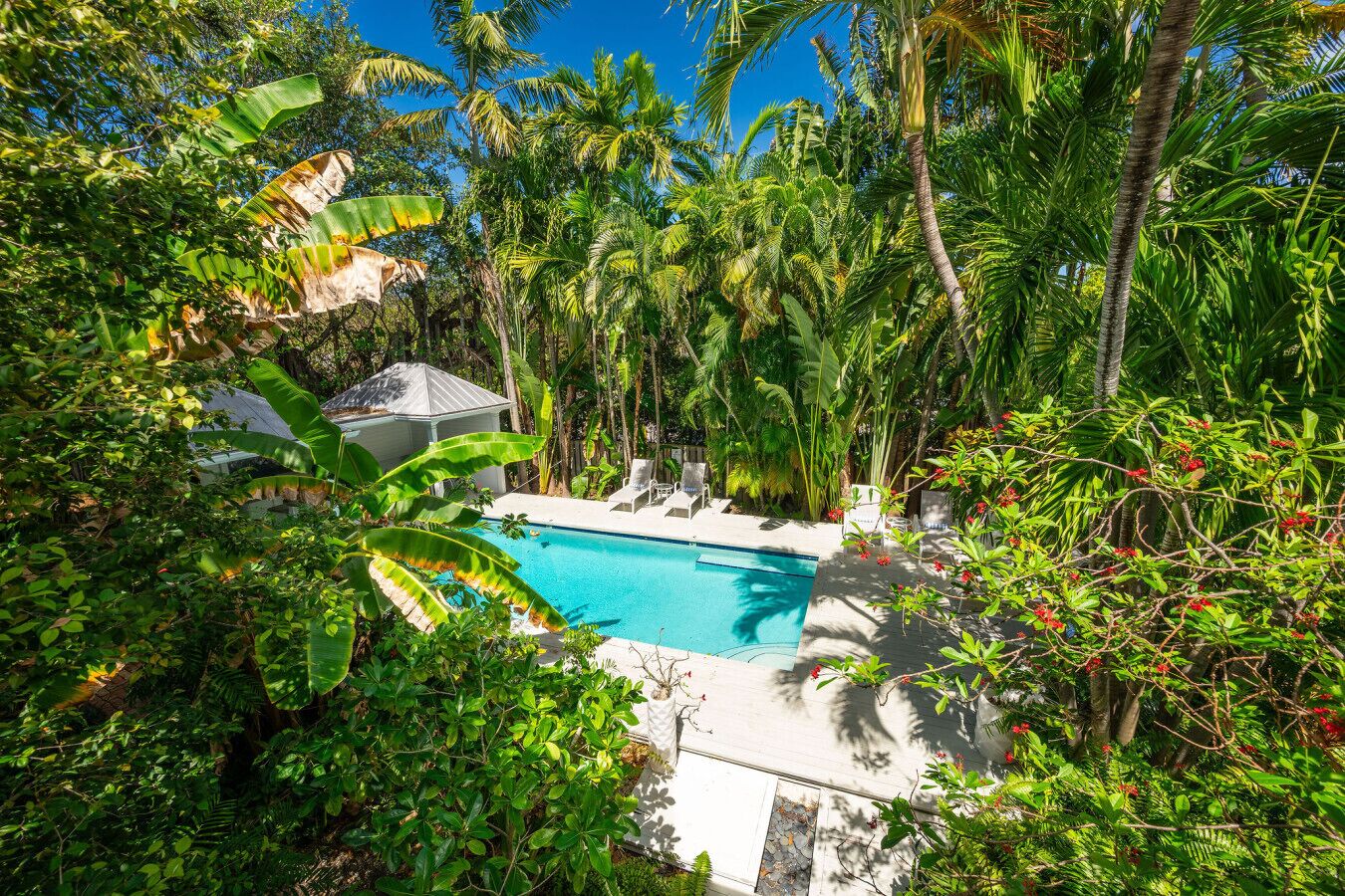 A private pool surrounded by lush tropical vegetation, including palm trees and banana plants.