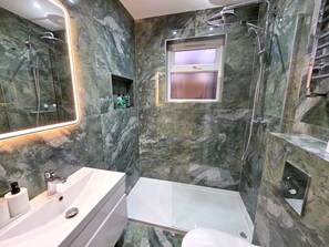 Shower, hair dryer, shampoo - Spacious 5BDR Home in Walthamstow Village (Greater London)