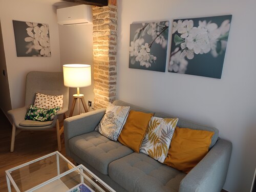 Charming apartment in the historic center of the city