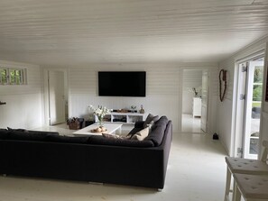 Fernseher, Kamin
