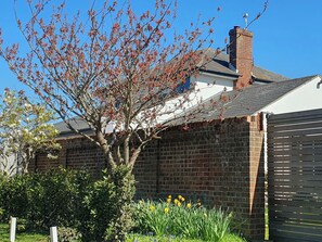 Uma casa de tijolos com uma árvore na frente, um jardim com narcisos e um portão preto.