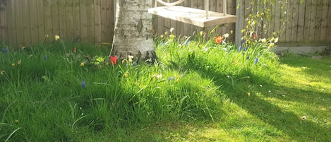 A wooden swing hanging from a tree in a grassy backyard with a wooden fence in the background.