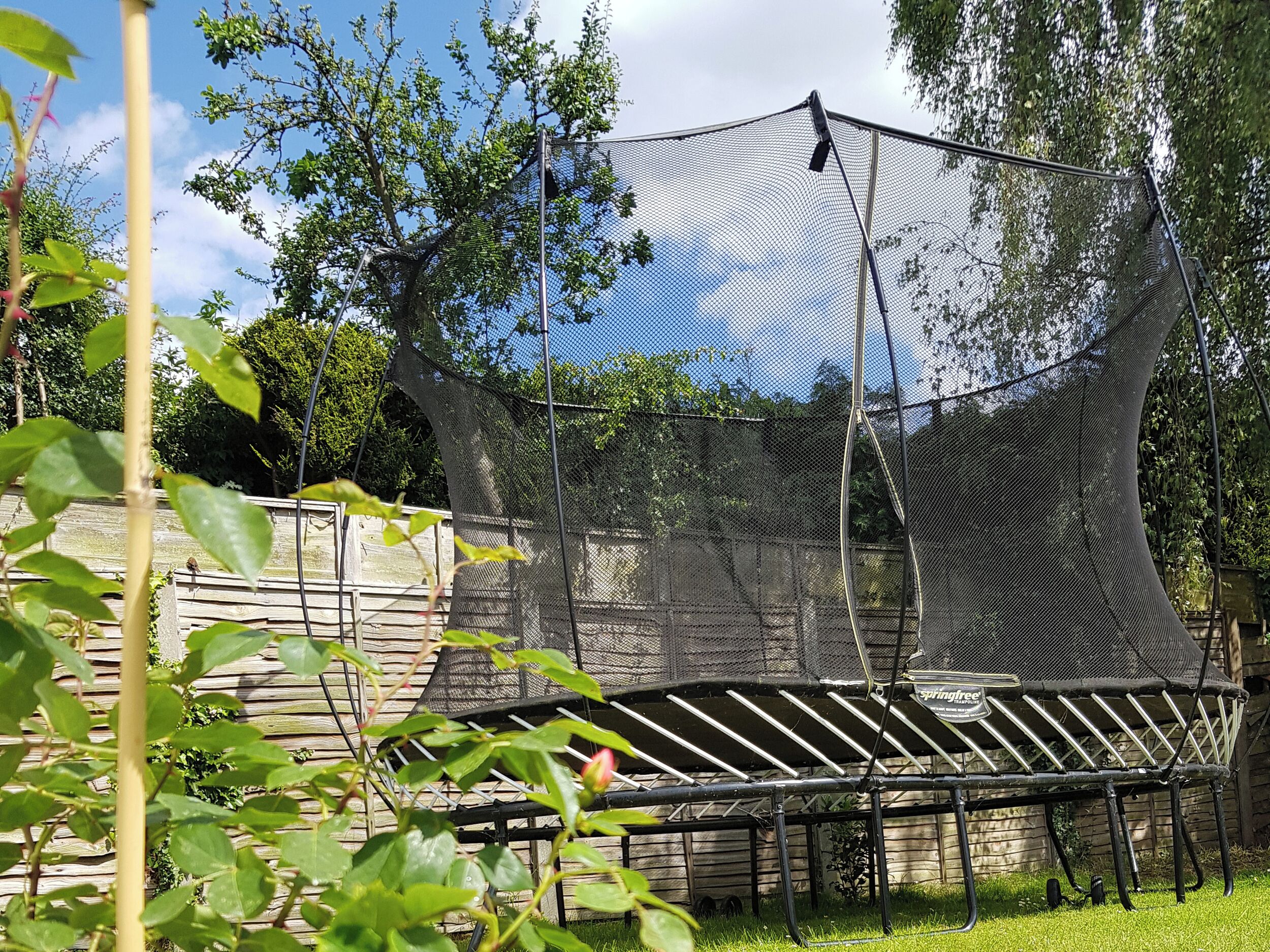 Ein Trampolin mit Sicherheitsnetz, umgeben von einem Holzzaun und Pflanzen.