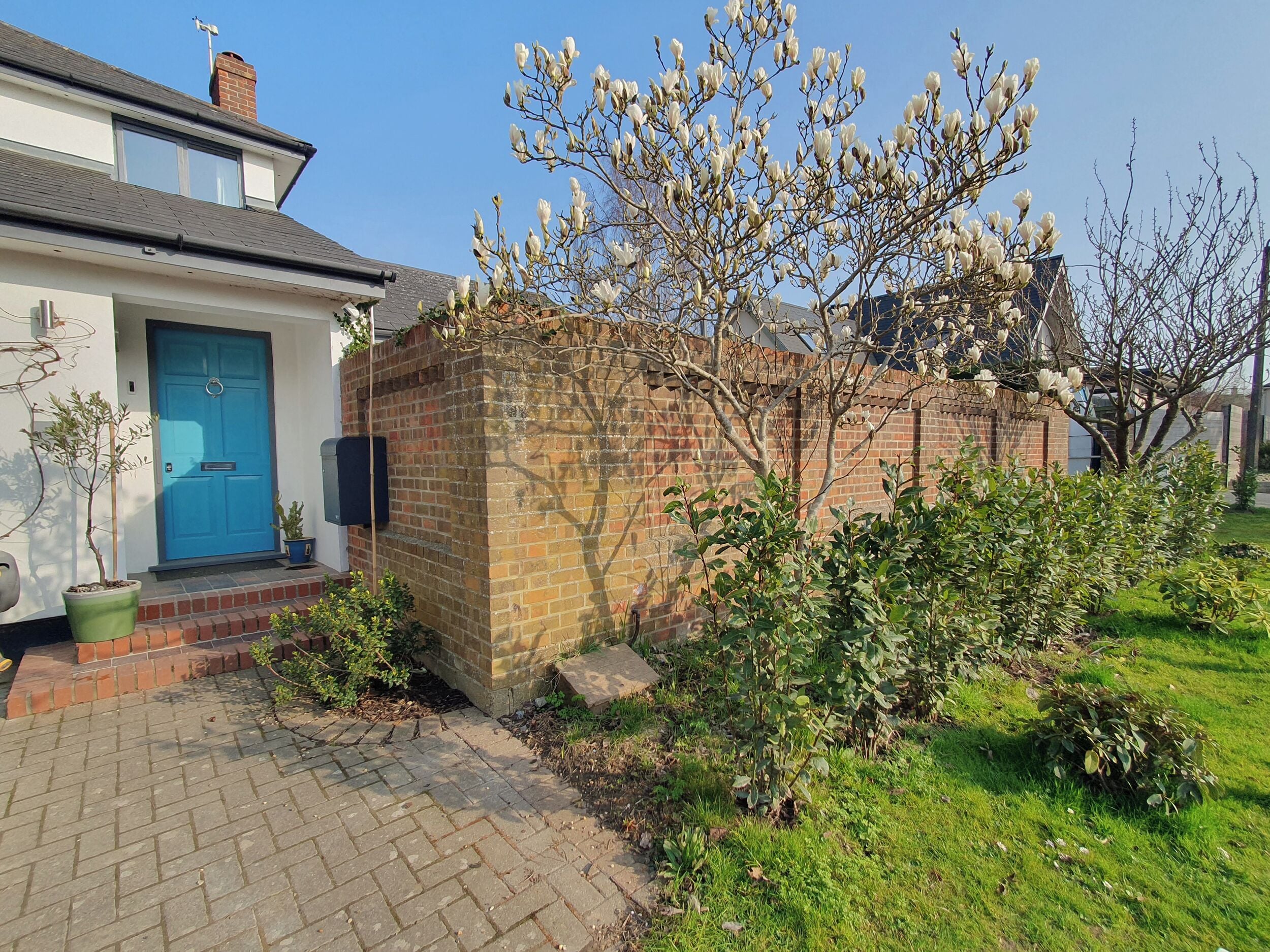 A residential house with a blue door, brick wall, and a garden with various plants.