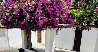 Playa dén Bossa Apartment