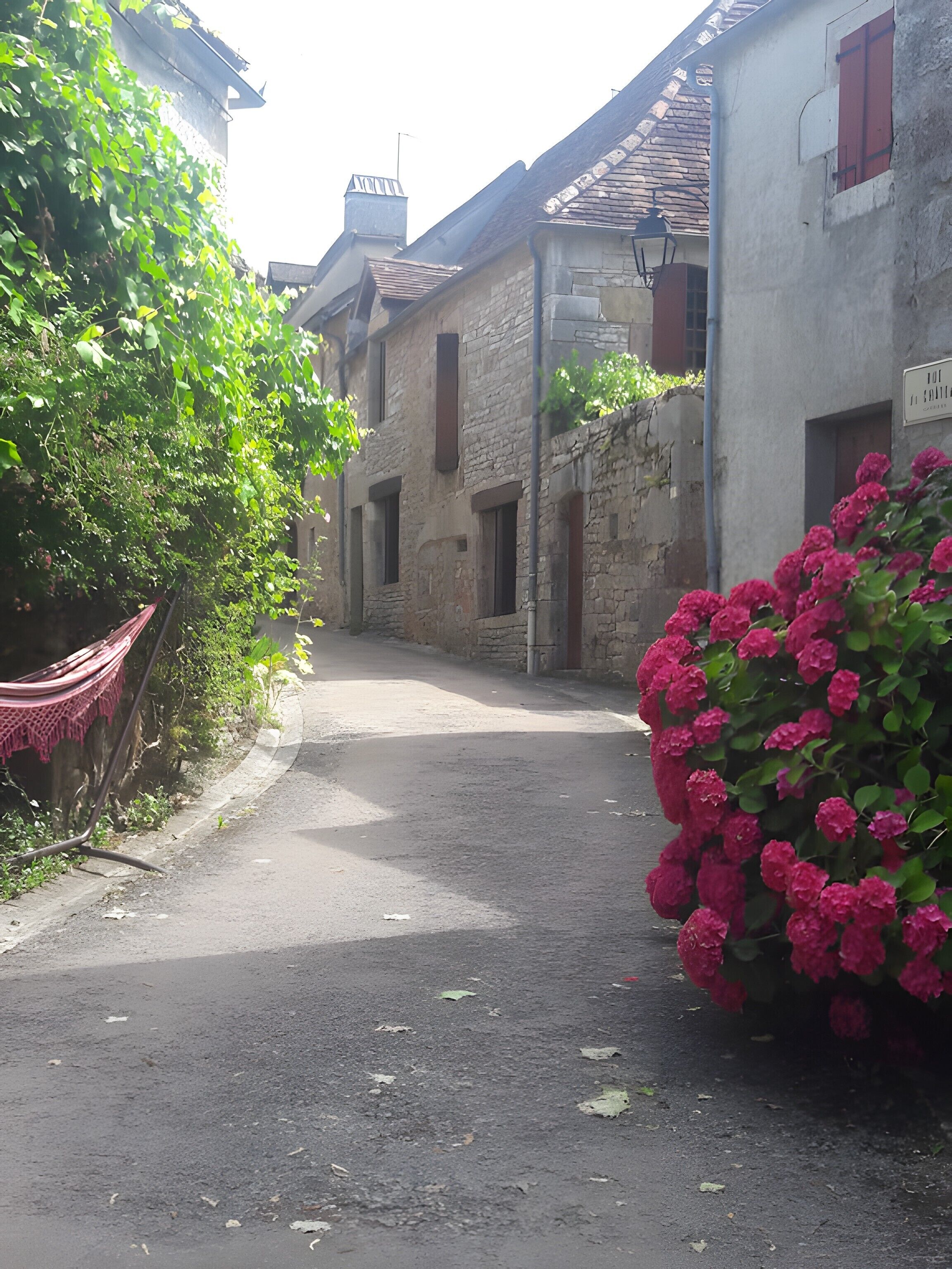 A narrow street with stone buildings, a hammock, and a bush of pink flowers.