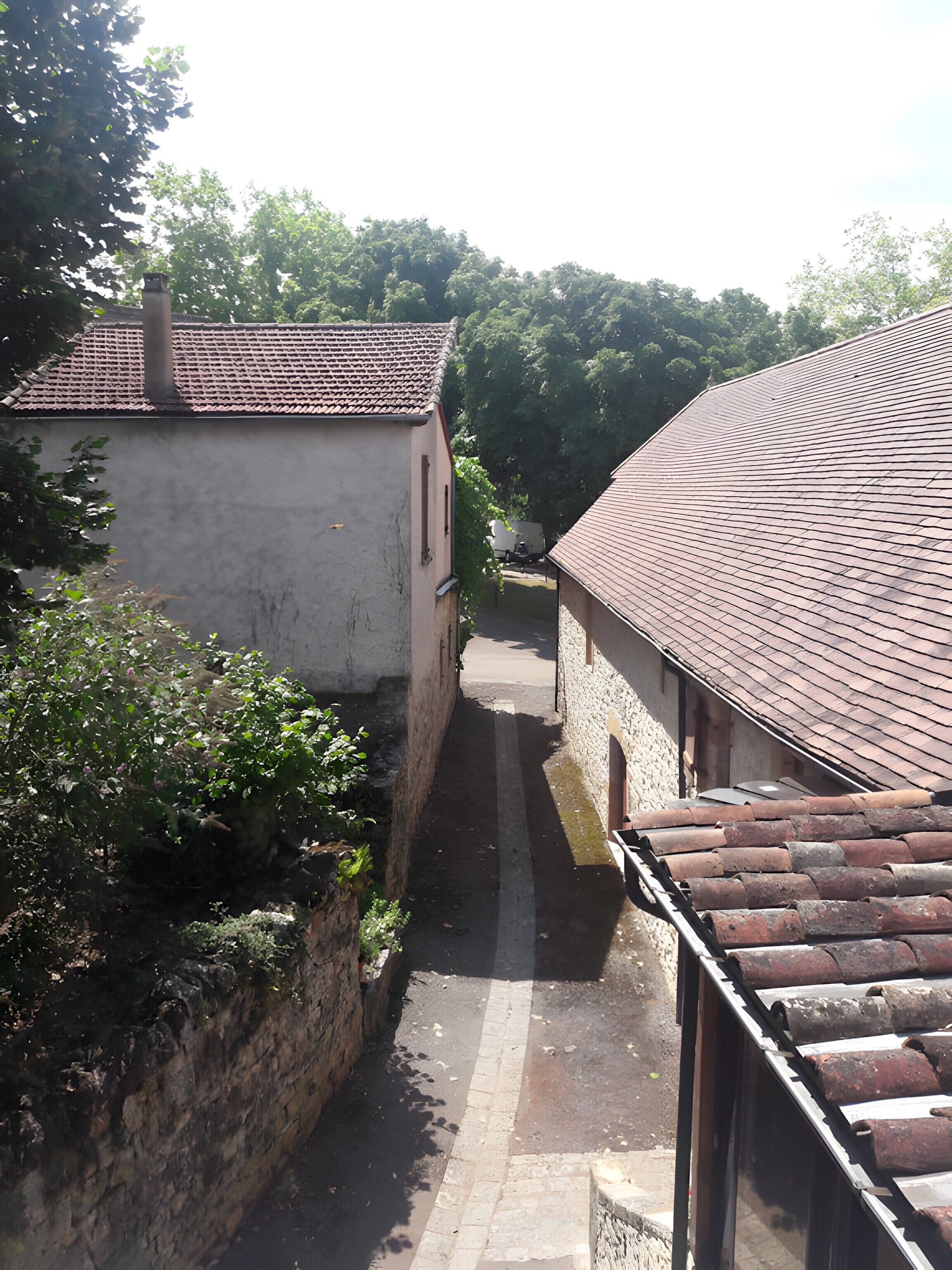 A narrow alleyway between buildings with a tiled roof, stone walls, and greenery.