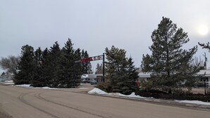 Un motel con un letrero llamativo, rodeado de nieve y altos árboles de hoja perenne.